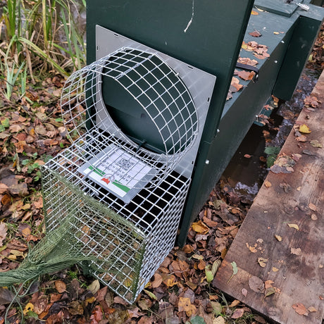 Krefelder Abfangkorb-Netz