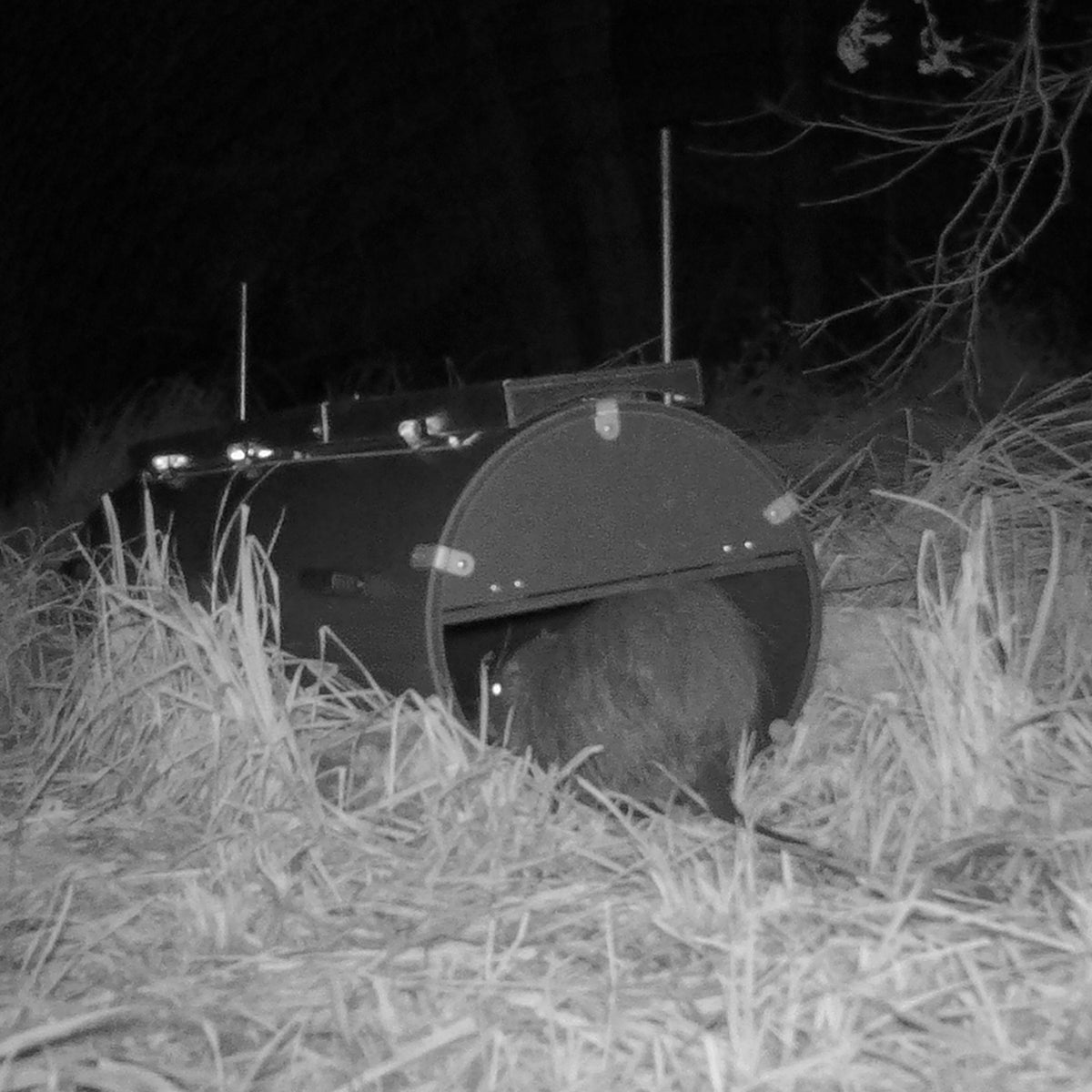 "WeKa invasiv PRO" 1,5 m Trittbrett