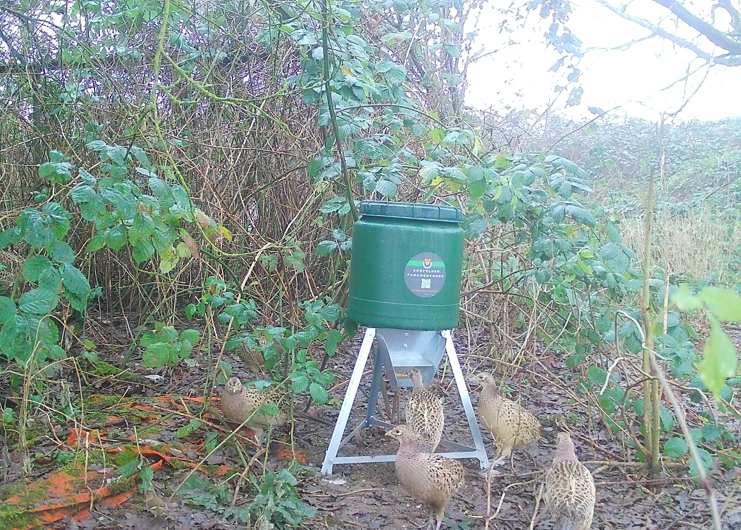 Krefelder Fasanentonne „Pro" – Bild 7